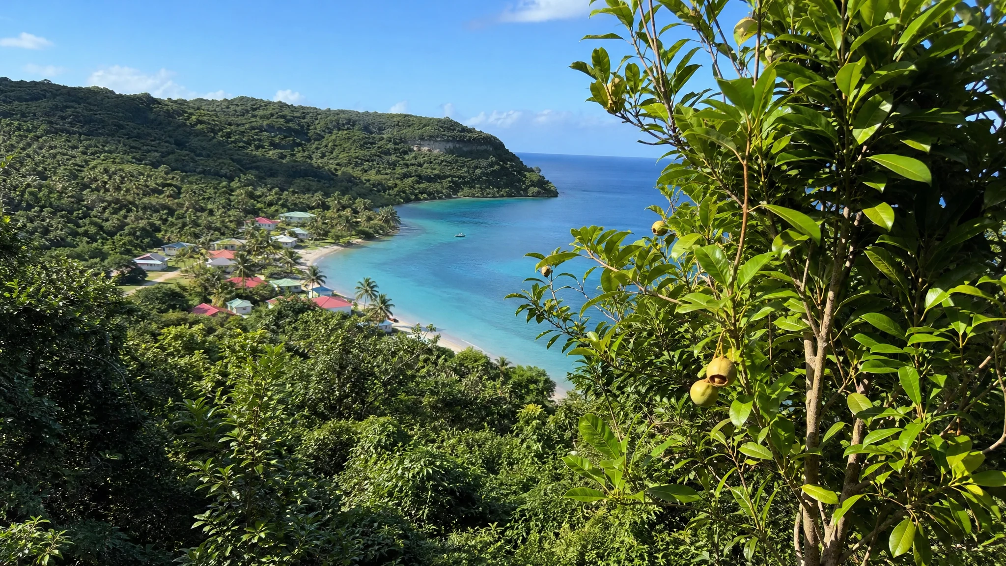 Grenada Nutmeg: Hurricane Ivan, Farmers and the GCNA