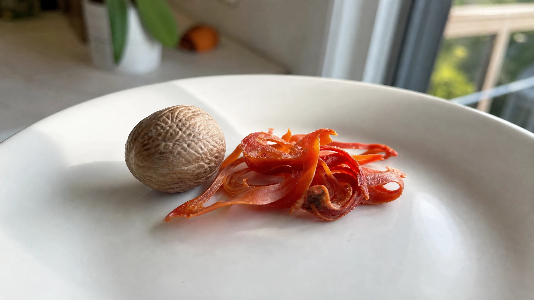 Nutmeg Oil vs Mace Oil: Same Tree, Different Part